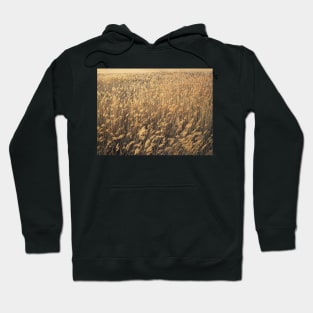 Dry reed texture Hoodie